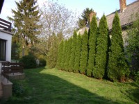 /album/elado-csaladi-haz/dsc03441-jpg/