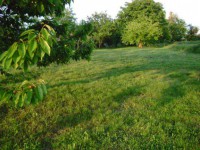 /album/elado-csaladi-haz/dsc03515-jpg/