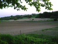 /album/elado-csaladi-haz/dsc03521-jpg/