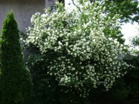 /album/elado-csaladi-haz/dsc00428-jpg/