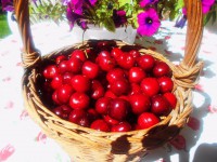 /album/elado-csaladi-haz/fscn4139-jpg/