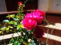 /album/elado-csaladi-haz/fscn4181-jpg/