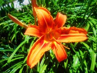 /album/elado-csaladi-haz/fscn4183-jpg/