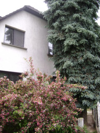 Közelebbről